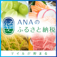 ANAのふるさと納税