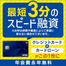 【6/4まで2倍還元】プロミスVisaカード