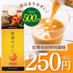 豊潤サジー 定期初回250円（Web）